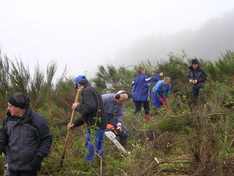 Enlarge DSCN6018.jpg