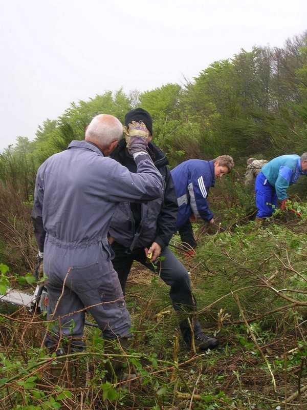 Enlarge DSCN6019.jpg