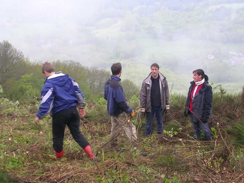 Enlarge DSCN6029.jpg