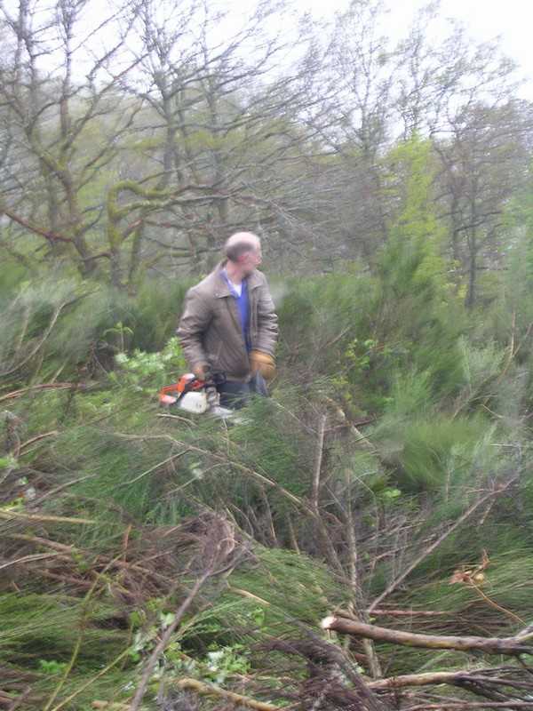 Enlarge DSCN6031.jpg