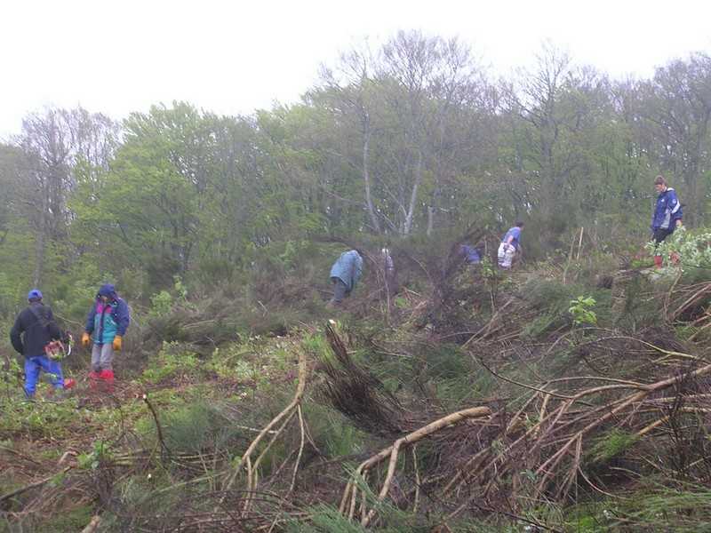 Enlarge DSCN6035.jpg