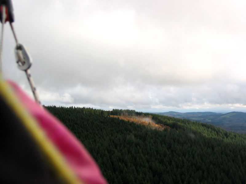 Enlarge mone171106_004.jpg