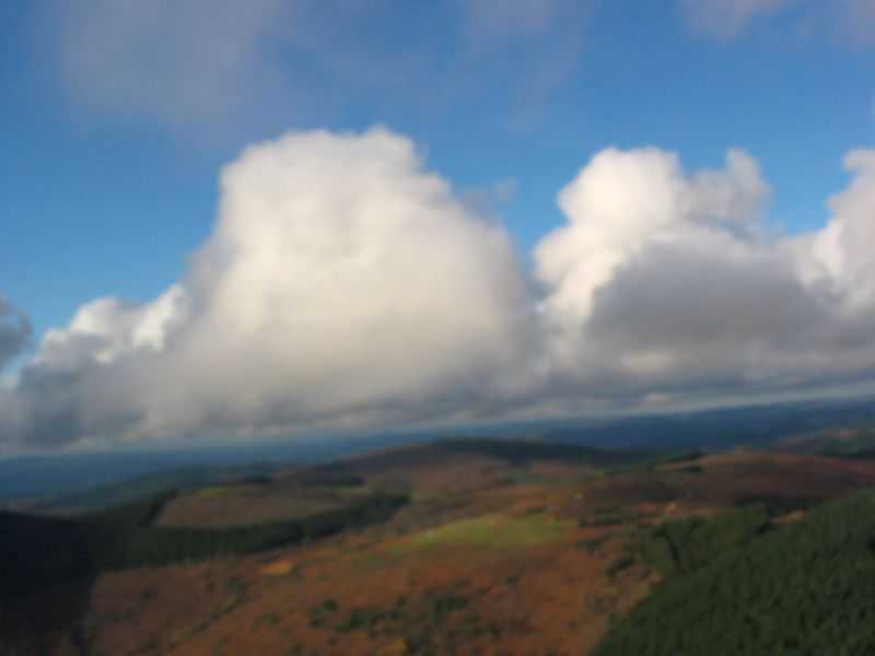 Enlarge mone171106_007.jpg