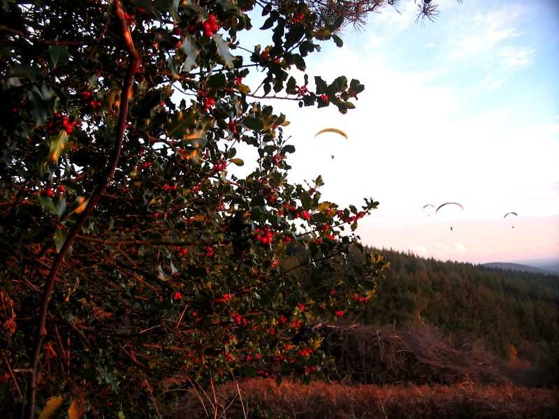 Enlarge mone171106_024.jpg