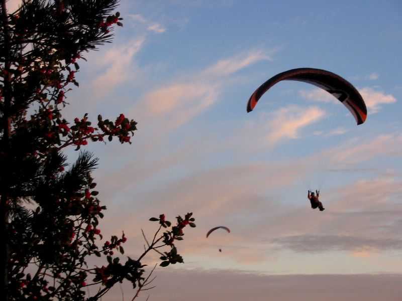 Enlarge mone171106_027.jpg