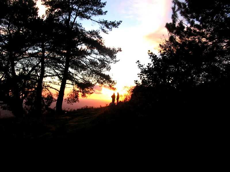 Enlarge mone171106_028.jpg