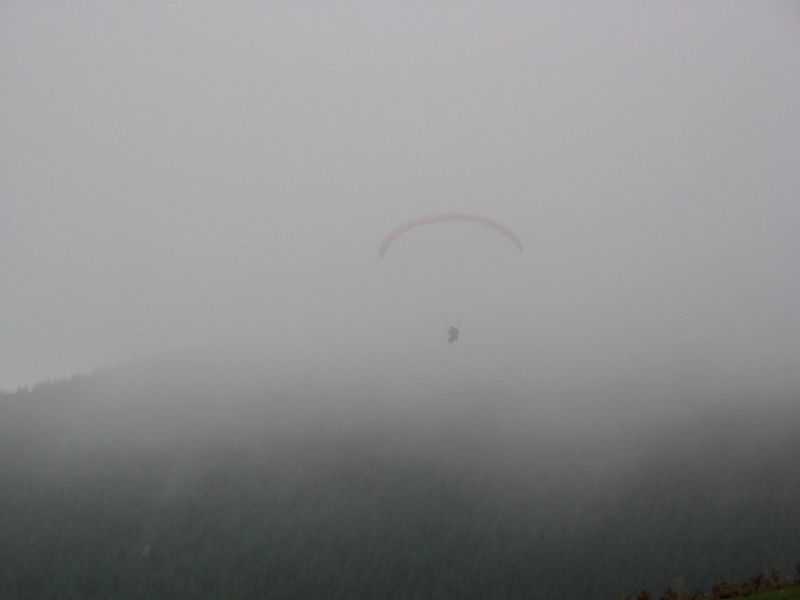 Enlarge mone181106_002.jpg