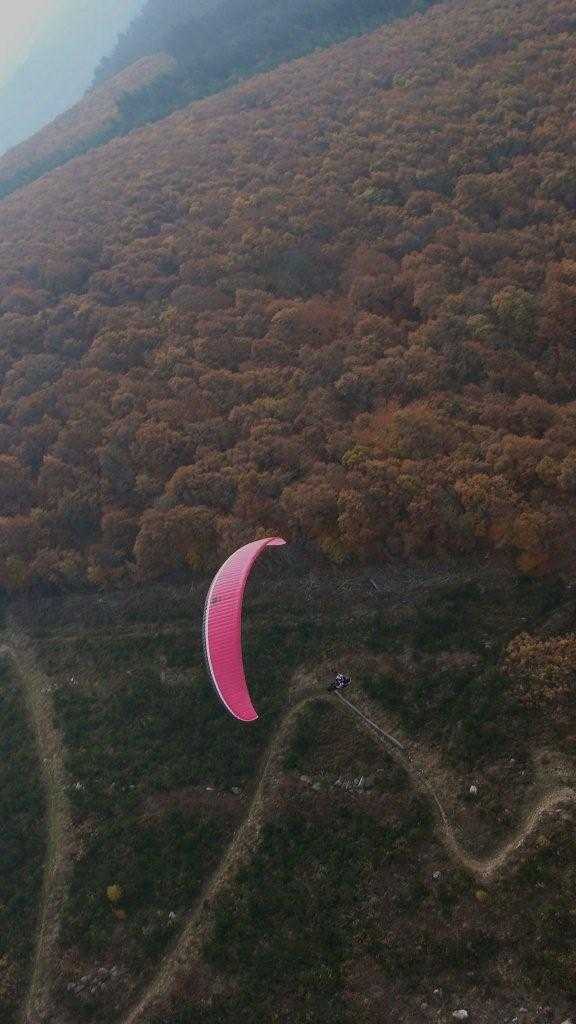 Enlarge DSC05219.jpg