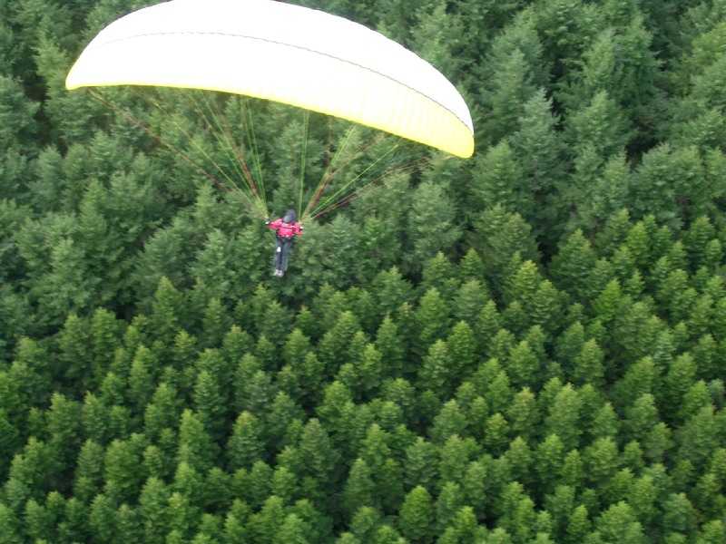 Enlarge DSCN5182_ThierryC.JPG