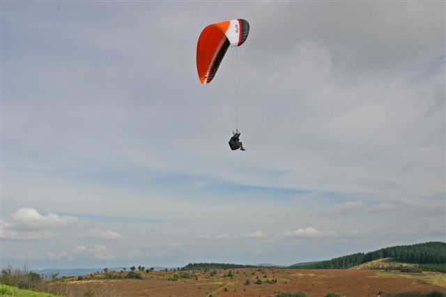 Enlarge IMG_6812031_HenriG.jpg