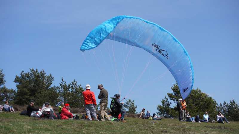 Enlarge P1040954.jpg