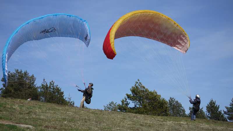 Enlarge P1050007.jpg