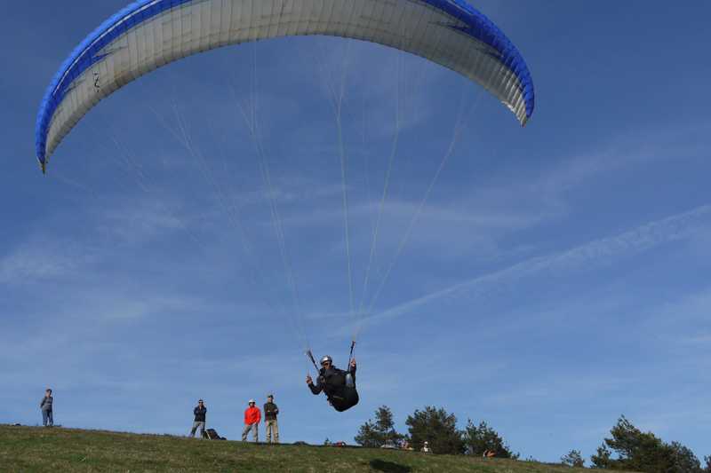 Enlarge P1050017.jpg