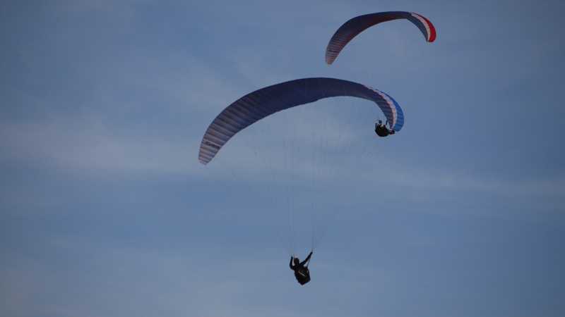 Enlarge P1050052.jpg