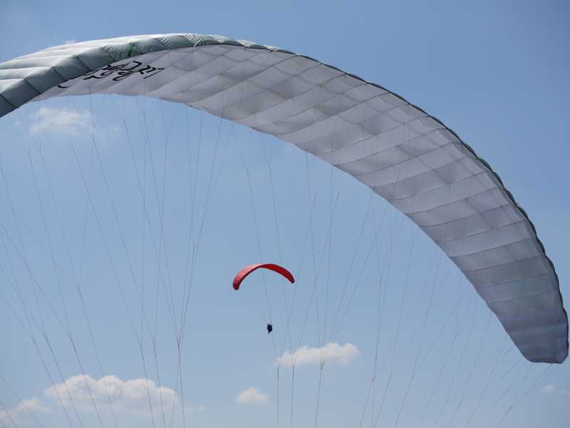 Enlarge P1050113.jpg