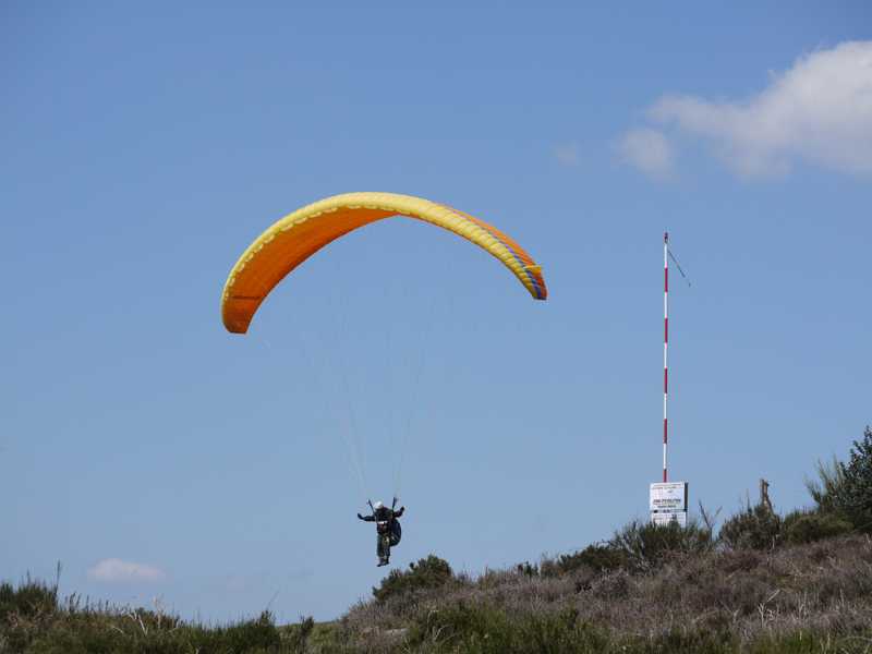 Enlarge P1050115.jpg