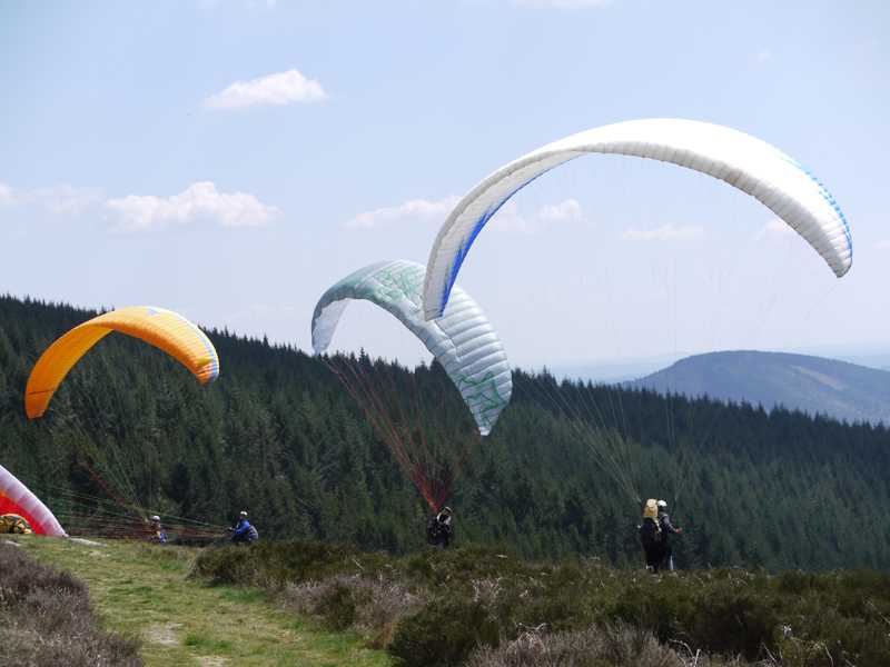 Enlarge P1050116.jpg