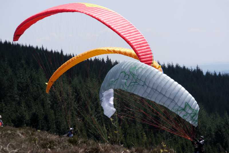 Enlarge P1050119 1.jpg