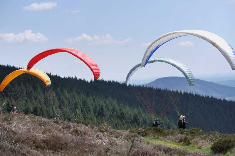 Enlarge P1050121 2.jpg