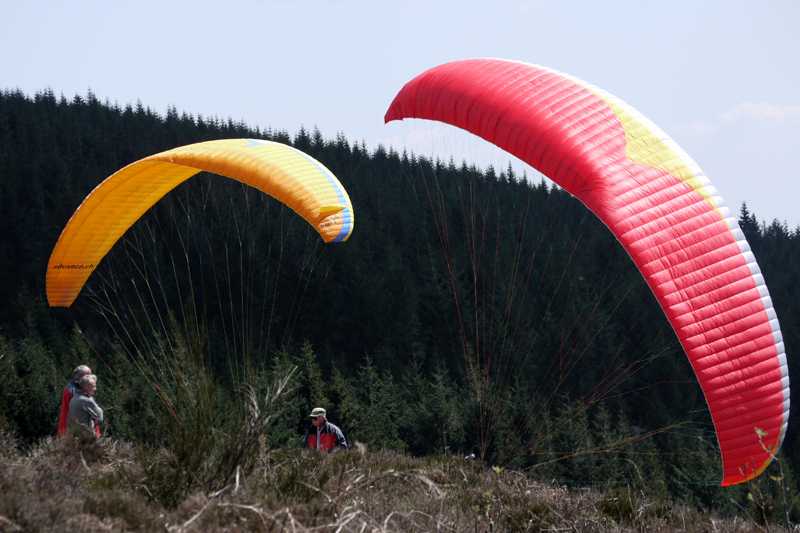 Enlarge P1050123 1.jpg