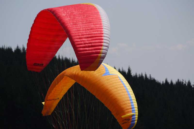 Enlarge P1050124 1.jpg