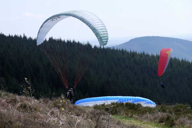 Enlarge P1050125 1.jpg