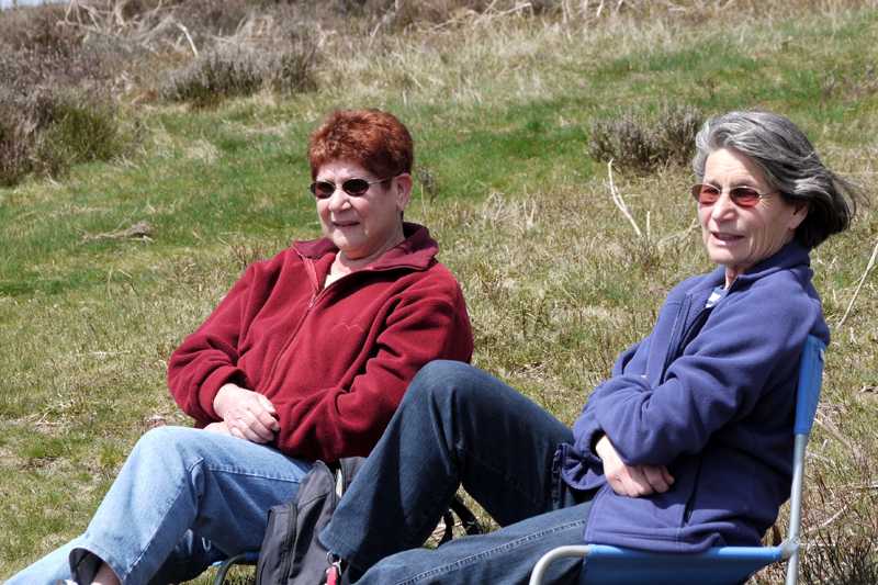 Enlarge P1050129 1.jpg