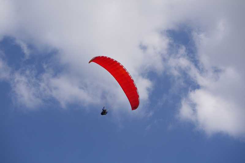 Enlarge P1050130 1.jpg