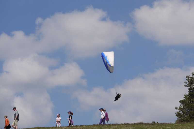 Enlarge P1050131 1.jpg