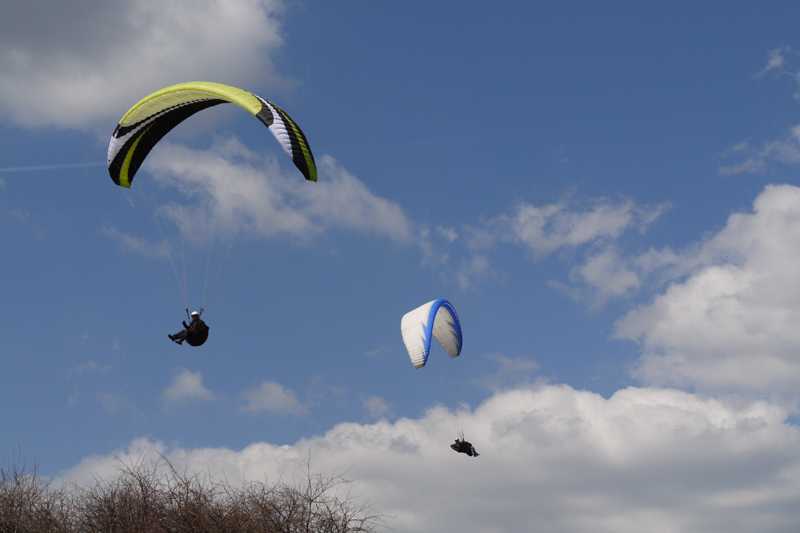 Enlarge P1050153 1.jpg