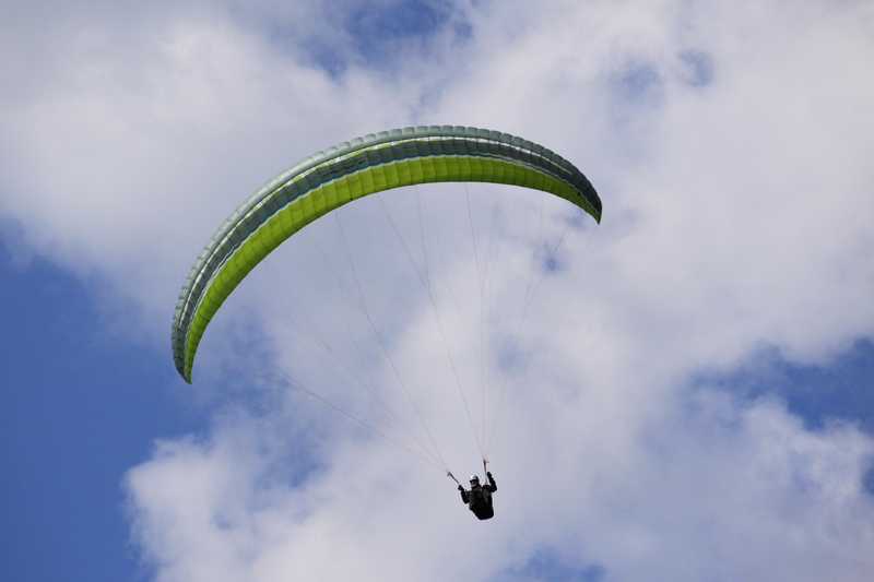 Enlarge P1050166 1.jpg