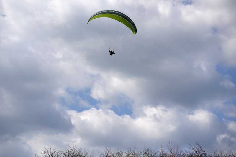 Enlarge P1050167 1.jpg