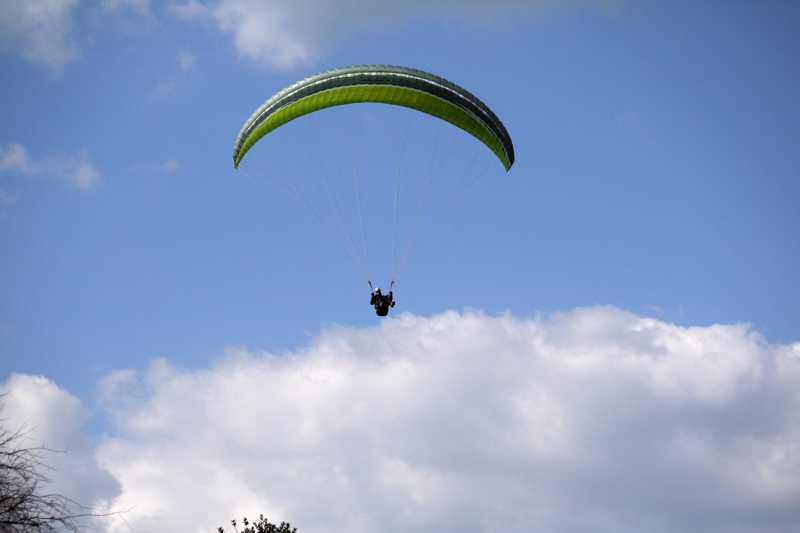 Enlarge P1050169 1.jpg