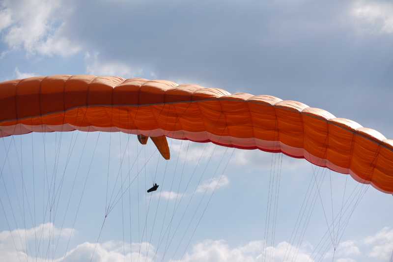 Enlarge P1050174 1.jpg