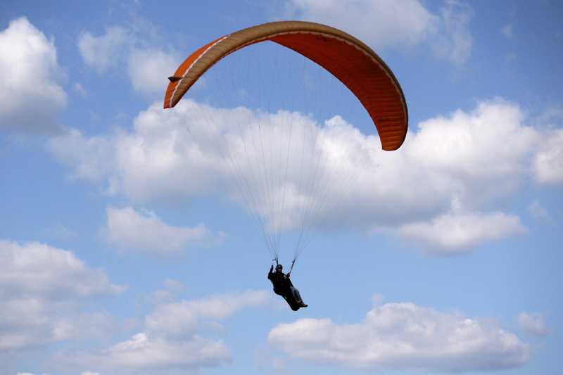 Enlarge P1050176 1.jpg