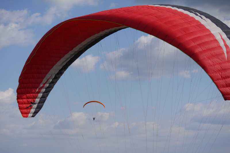 Enlarge P1050188 1.jpg