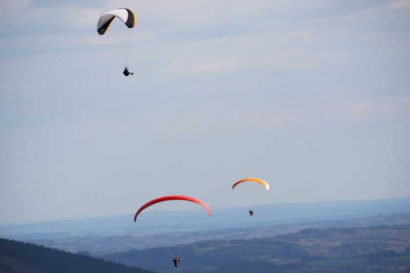 Enlarge P1050203 1.jpg