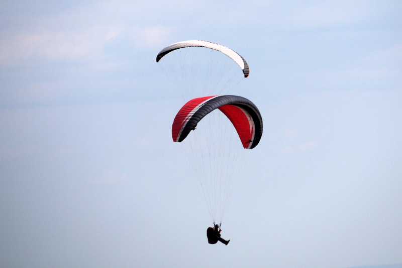 Enlarge P1050206 1.jpg