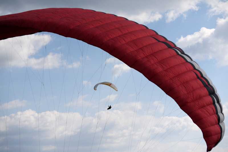 Enlarge P1050209 1.jpg