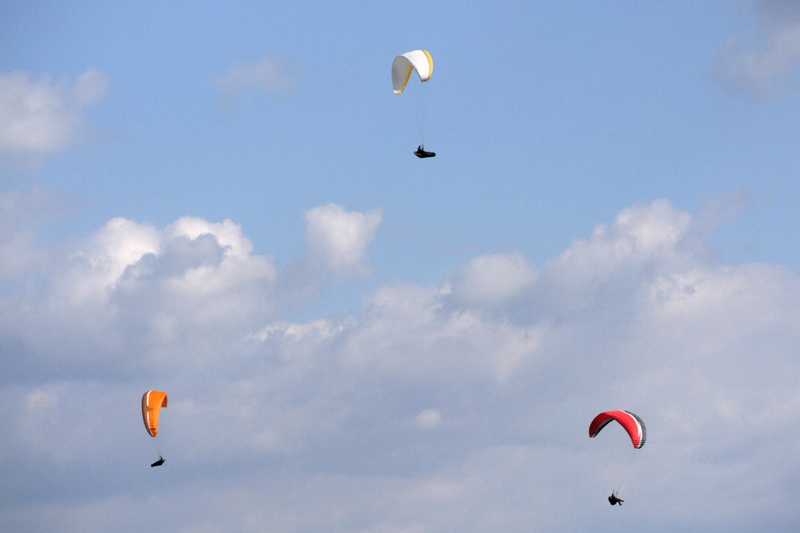 Enlarge P1050216 1.jpg