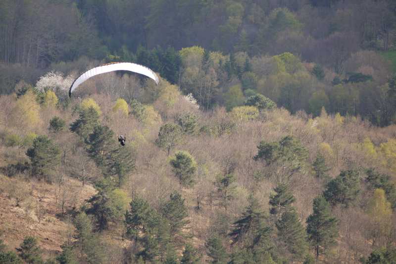 Enlarge P1050217 1.jpg