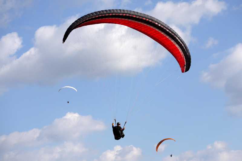 Enlarge P1050218 1.jpg