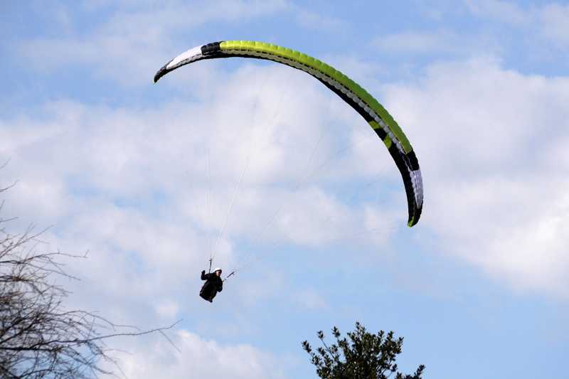 Enlarge P1050219 1.jpg