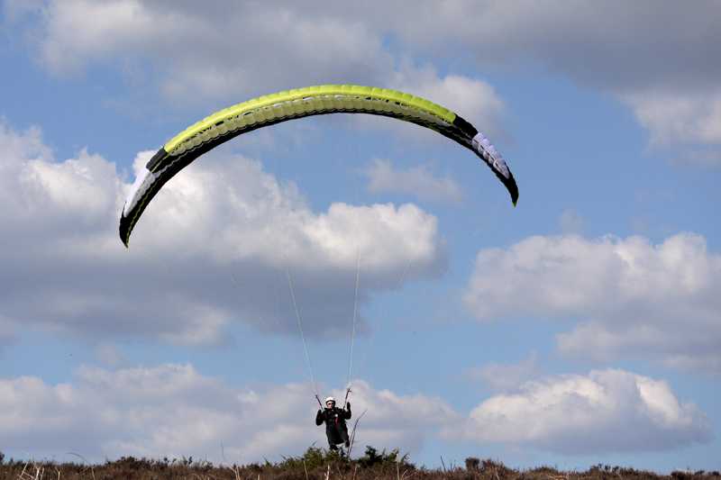 Enlarge P1050220 1.jpg