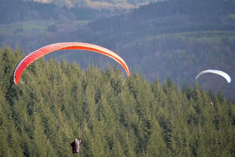 Enlarge P1050222 1.jpg