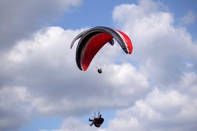 Enlarge P1050223 1.jpg