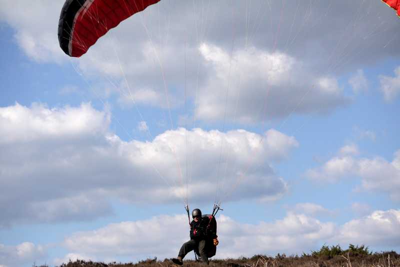 Enlarge P1050224 1.jpg