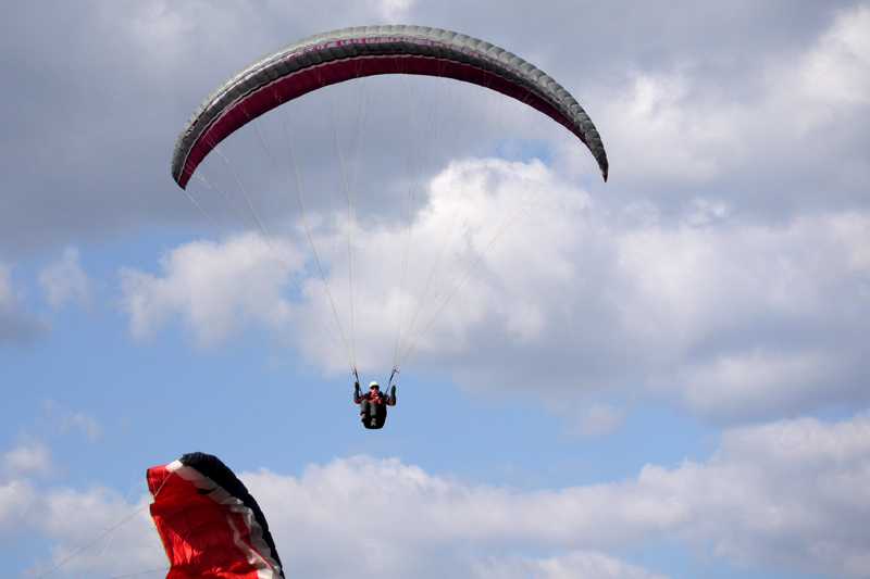 Enlarge P1050225 1.jpg