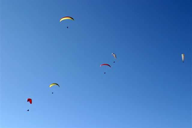 Enlarge IMG_8359 010.JPG