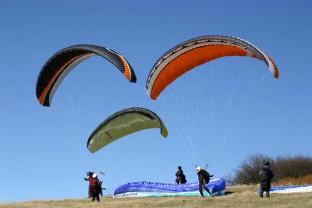 Enlarge IMG_8362 013.JPG